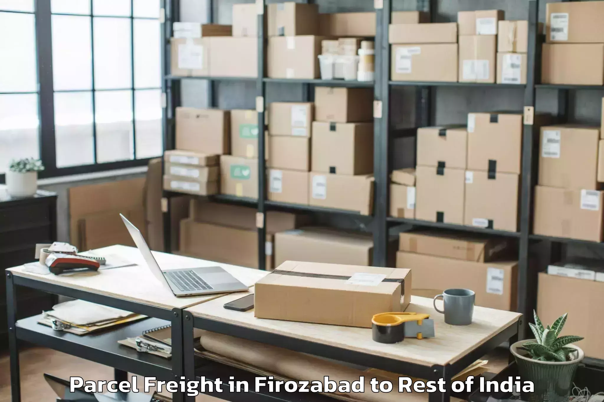 Hassle-Free Firozabad to Udhampur Parcel Freight